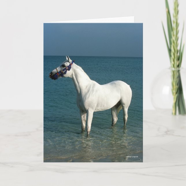 Carte Bob Langrish | Arabe gris debout Dans La Mer (Devant)