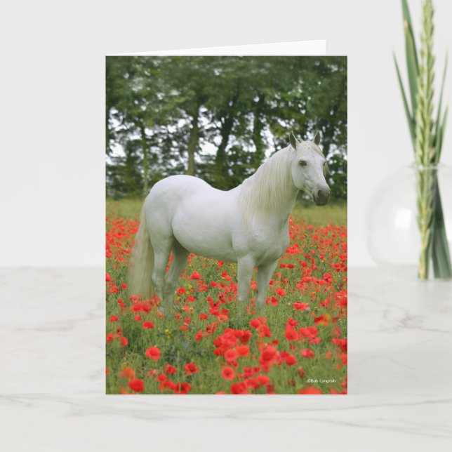 Carte Bob Langrish | Arabe gris debout En Fleurs Rouges (Devant)