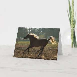 Carte Bob Langrish Arrière-lit en cours