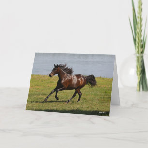 Carte Bob Langrish Baie Lusitano Mare Courir Près Du L