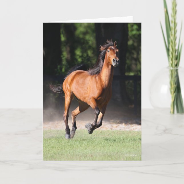 Carte Bob Langrish | Bay Tennessee Walker Running (Devant)