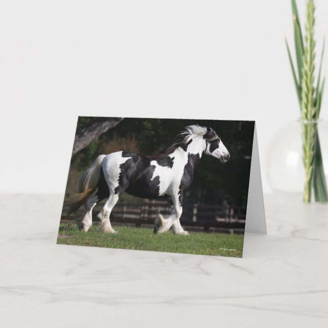 Carte Bob Langrish Black and White Gypsy Vanner Walking (Devant)