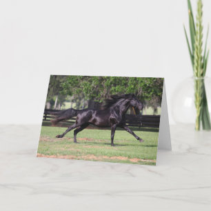 Carte Bob Langrish   Black Lusitano Runer Mane Flow