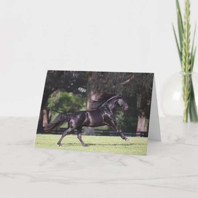 Carte Bob Langrish | Black Lusitano Running (Devant)