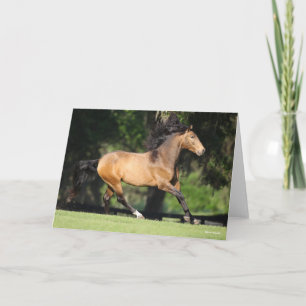 Carte Bob Langrish   Buckskin Lusitano Running