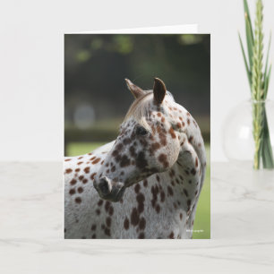 Carte Bob Langrish Capture d'écran Appaloosa Standing