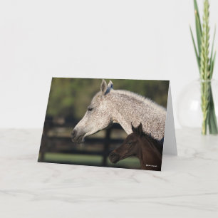 Carte Bob Langrish Capture d'écran arabe de Mare et Fo