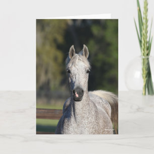 Carte Bob Langrish Capture d'écran arabe gris