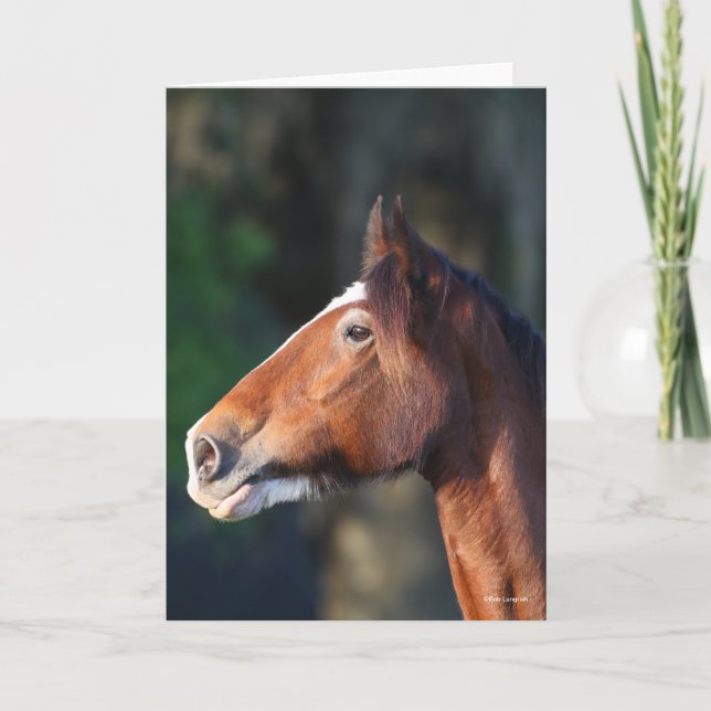 Carte Bob Langrish | Capture d'écran de Clydesdale (Devant)