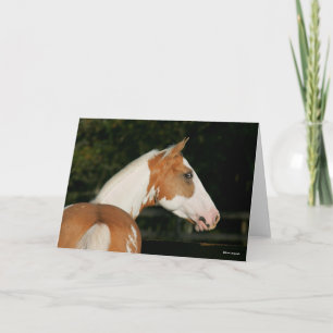 Carte Bob Langrish Capture d'écran du cheval de peintu