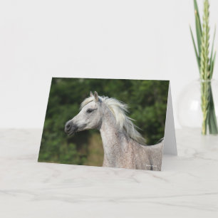 Carte Bob Langrish Casque arabe gris