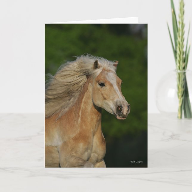 Carte Bob Langrish | Casque Palomino Haflinger (Devant)