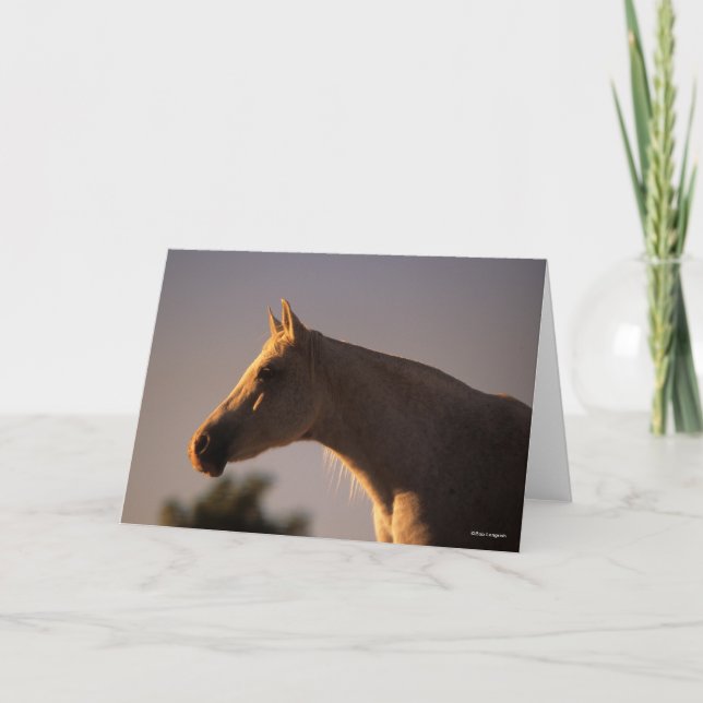 Carte Bob Langrish | Casque rétroéclairé en arabe gris (Devant)