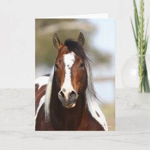 Carte Bob Langrish   Casque Stallion de peinture