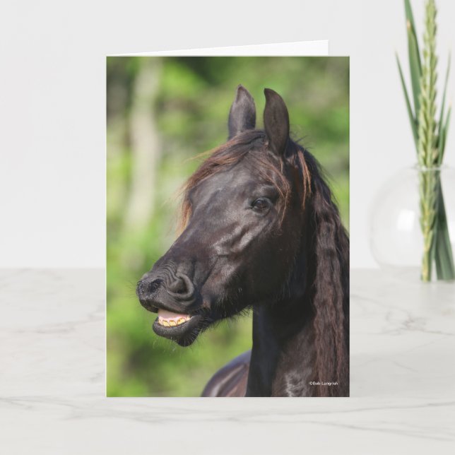 Carte Bob Langrish | Casquette noire Friesian Flehmen (Devant)