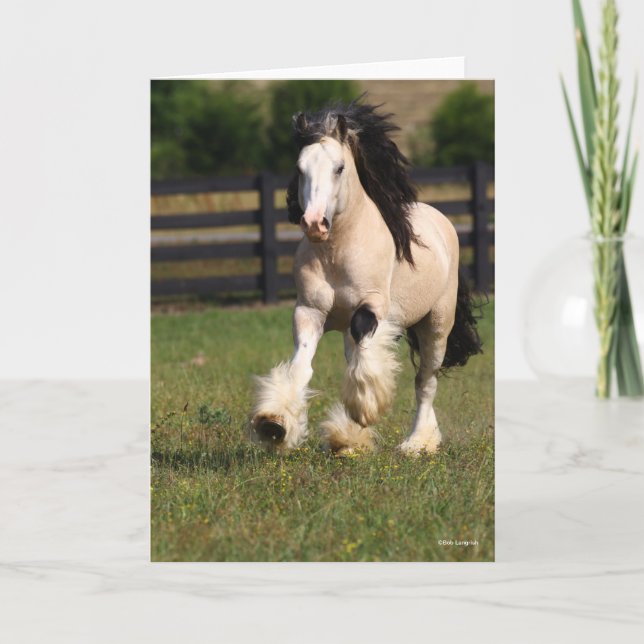 Carte Bob Langrish Champagne Couleur Gypsy Vanner Runnin (Devant)