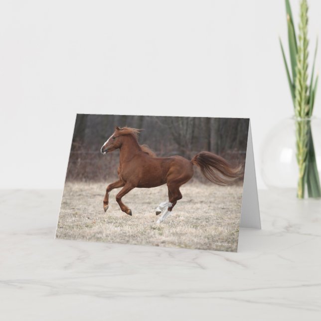 Carte Bob Langrish | Chestnut Hackney Pony Running (Devant)