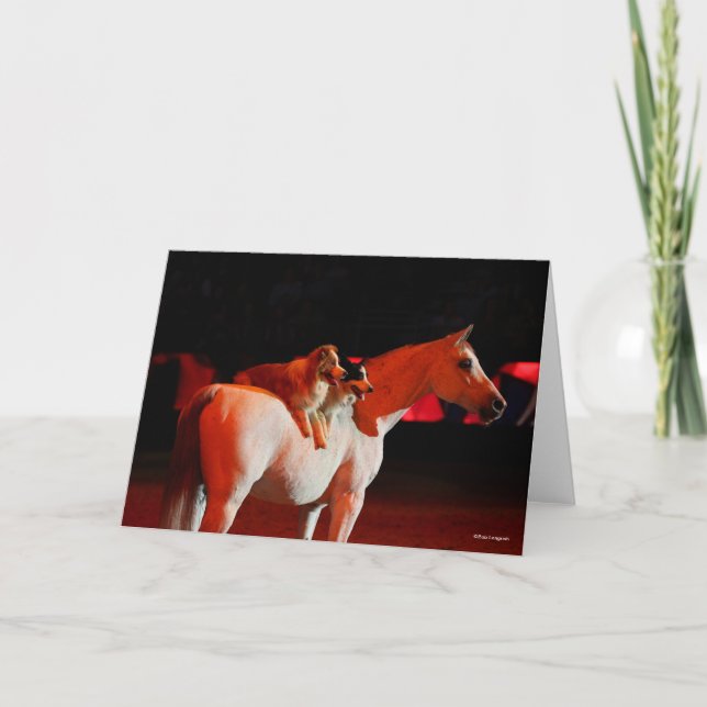 Carte Bob Langrish | Cheval arabe debout avec des chiens (Devant)