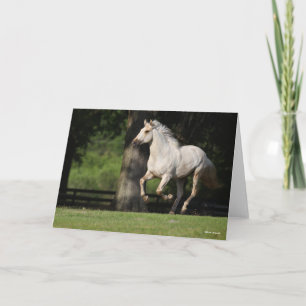 Carte Bob Langrish Cheval Lusitano Courir