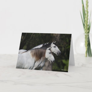 Carte Bob Langrish Deux Andalous Ensemble