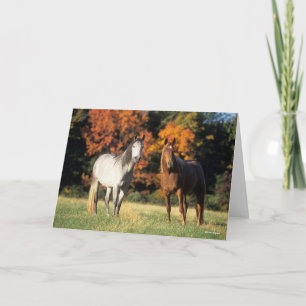 Carte Bob Langrish Deux Arabes se rassemblent sur le ter