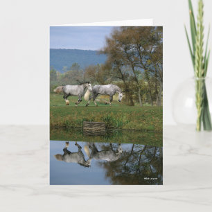 Carte Bob Langrish Deux Bois Chauds Ensemble Par Lac