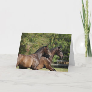 Carte Bob Langrish Deux Chevaux andalous Brown en cour