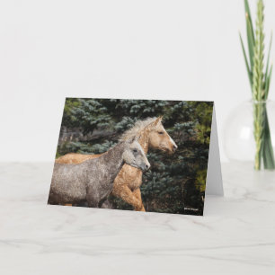 Carte Bob Langrish Deux Chevaux De Courbe Bashkir Capt