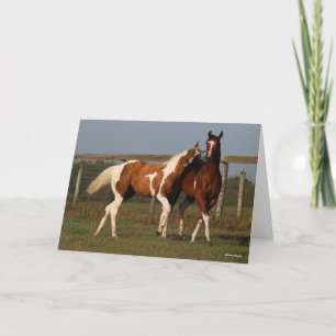 Carte Bob Langrish   Deux Chevaux De Peinture Jouant Ens