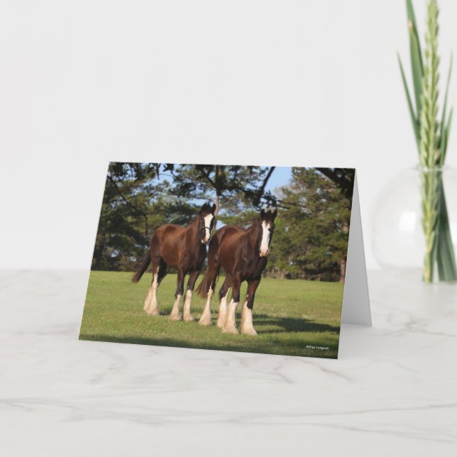 Carte Bob Langrish | Deux Jeunes Chevaux De Chaleur Se T (Devant)