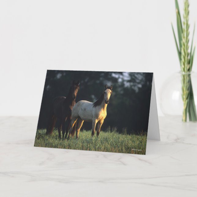 Carte Bob Langrish | Deux Mustangs Kiger debout (Devant)