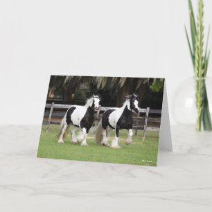 Carte Bob Langrish Deux vannières tziganes noires et b