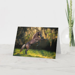 Carte Bob Langrish   Élevage de Chevaux de montagne Rock