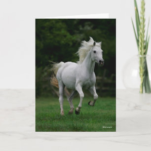 Carte Bob Langrish Gray Arabe Courir Le Flot De Mane