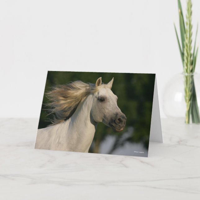 Carte Bob Langrish Grey Casque andalou Mane Flow (Devant)