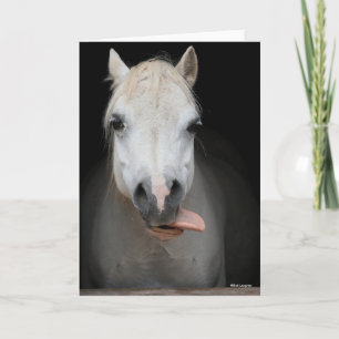 Carte Bob Langrish Grey Welsh Pony Tongue Out Headshot