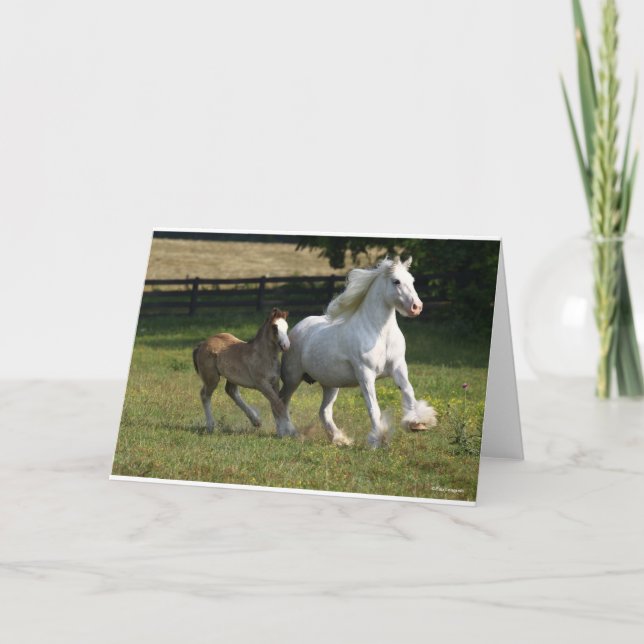 Carte Bob Langrish | Gypsy Vanner Horse Mare & Foie (Devant)