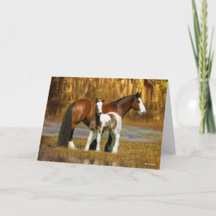 Carte Bob Langrish   Gypsy Vanner Mare and Foal Fantasy