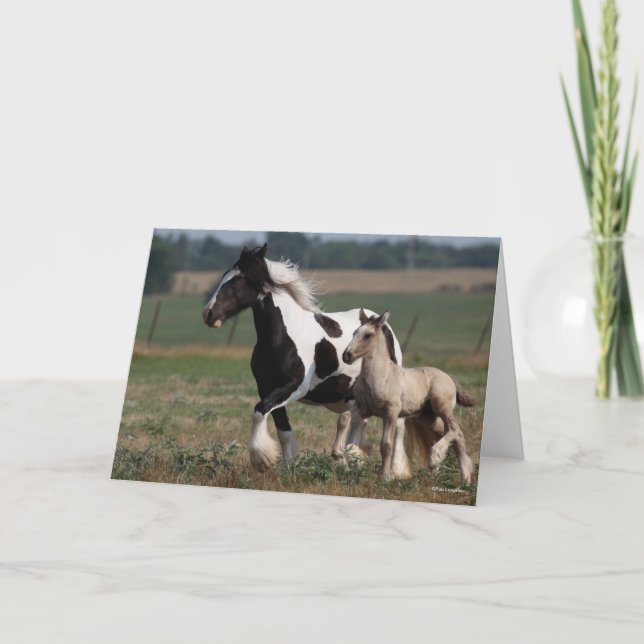 Carte Bob Langrish | Gypsy Vanner Mare et Foal Running (Devant)