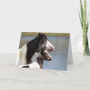 Carte Bob Langrish   Gypsy Vanner Mare et Foie Capture d