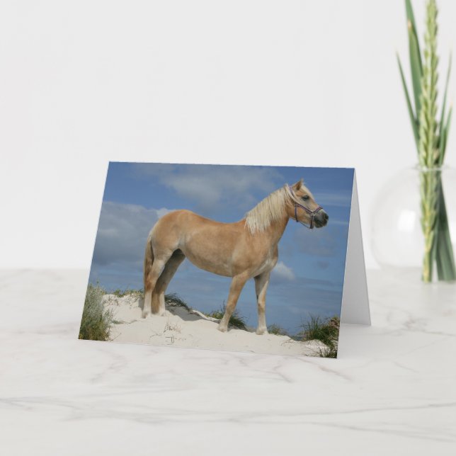 Carte Bob Langrish | Haflinger Debout Sur La Plage (Devant)