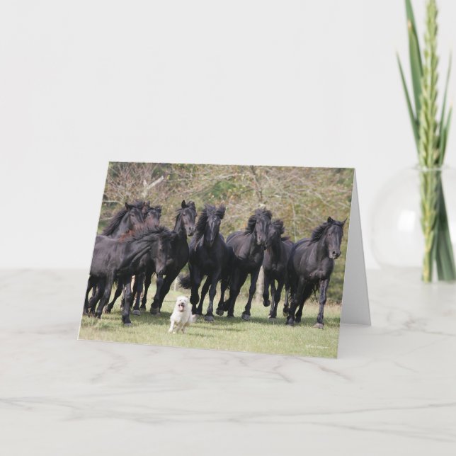 Carte Bob Langrish | Herd Black Meren Cheval et Chien (Devant)