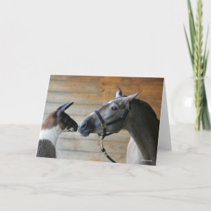 Carte Bob Langrish Llama et la réunion andalouse Capture