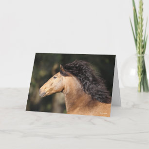 Carte Bob Langrish Lusitano Capture d'écran Mane Flow