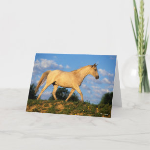 Carte Bob Langrish Marche arabe grise