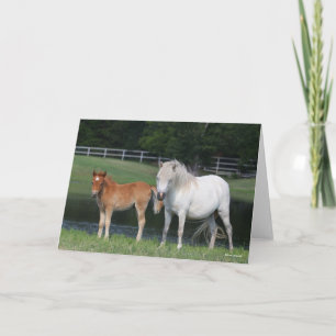 Carte Bob Langrish Miniature Pony Mare and Foal Standing