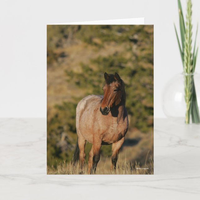 Carte Bob Langrish | Mustang Horse Standing (Devant)