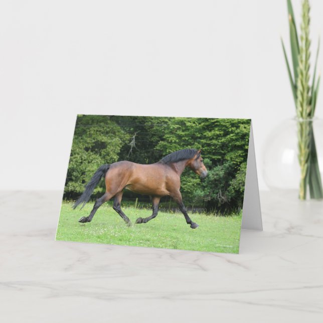 Carte Bob Langrish | Nouveau Stallion du ponton forestie (Devant)