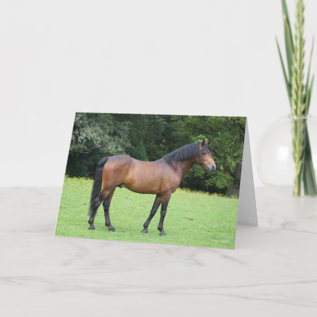 Carte Bob Langrish | Nouvelle position de poney forestie (Devant)