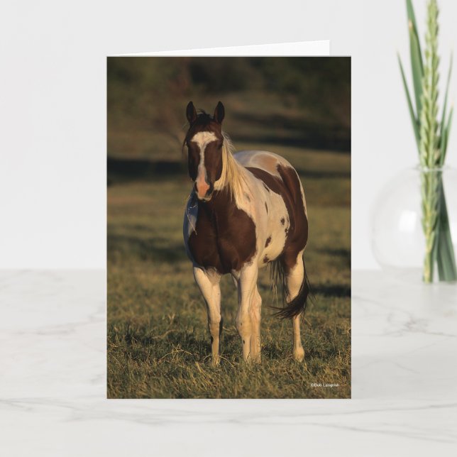 Carte Bob Langrish | Paint Horse Standing (Devant)